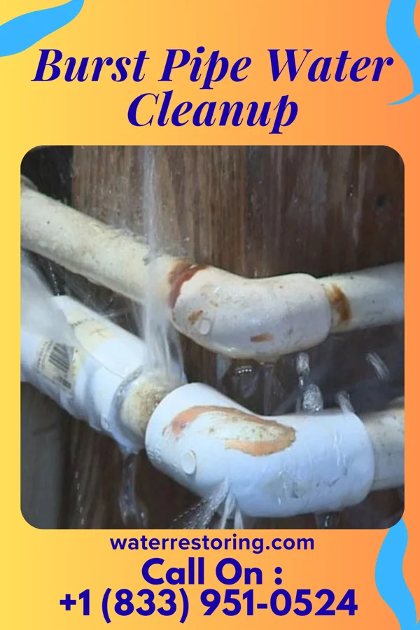 Burst Pipe Water Cleanup in Tangipahoa, LA