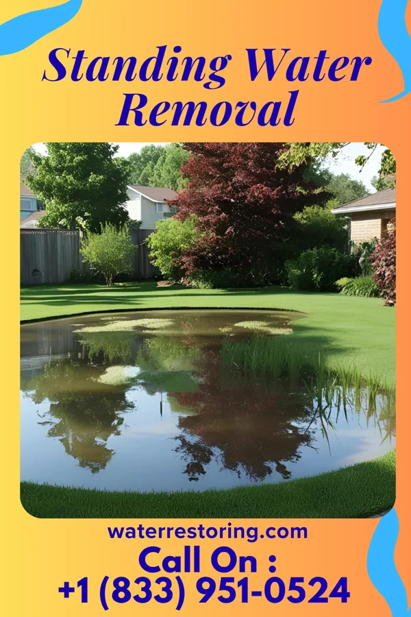 Standing Water Removal in Tangipahoa, LA